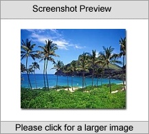 Hawaiian Vacation Screen Saver Screenshot